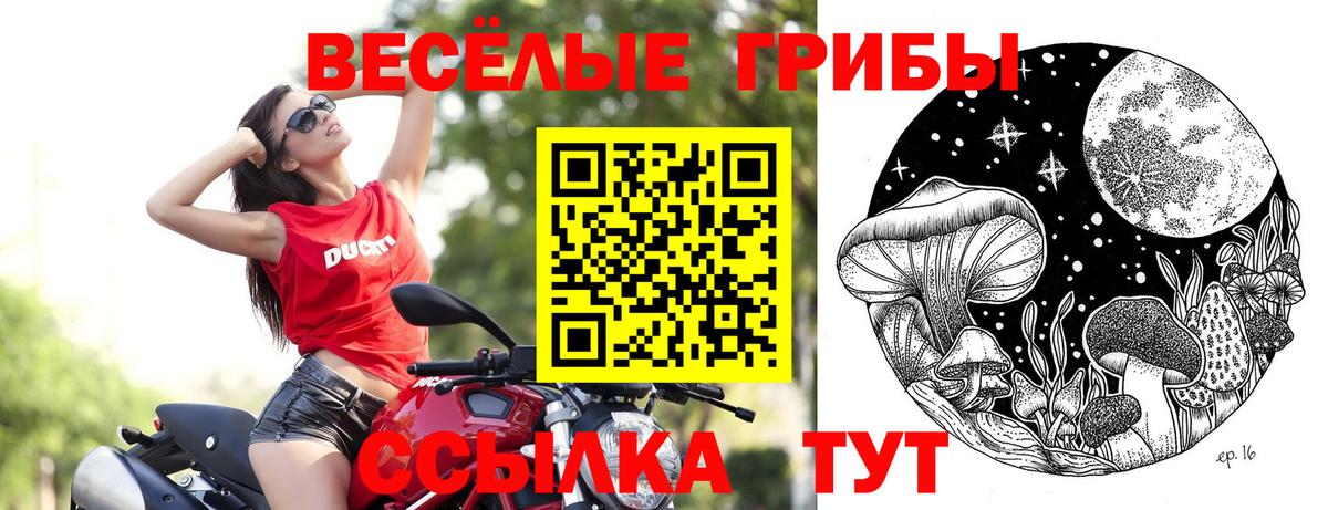 Галлюциногенные грибы мицелий  Вход с VPN  Таганрог 