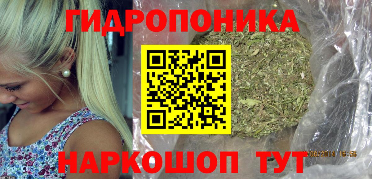 Каннабис планчик Таганрог